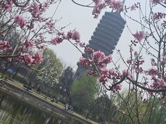 -西海子公园