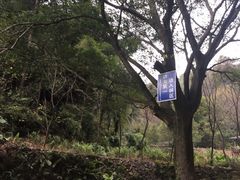 -永安龟山公园