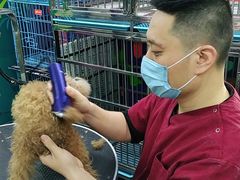 -美联众合动物医院(唯恩分院)