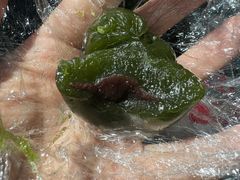 -天津小三宝栗子店(黄海路店)