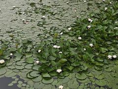 -长春市南湖公园