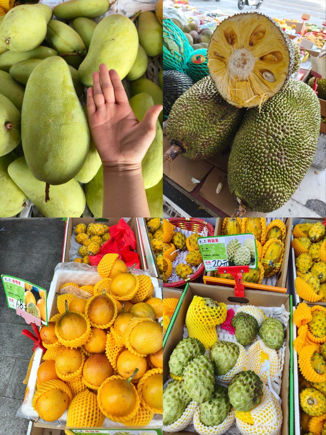 三亚的水果奇奇怪怪又可可爱爱