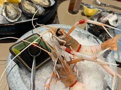 -斯普汇生蚝牛排馆(中骏世界城店)