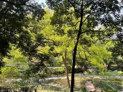 -广州市白云山风景名胜区