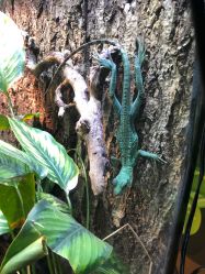 -酷嗒动物文化乐园(cutezoo西溪乐天城店)