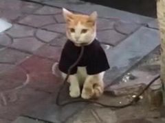 -大叔家福鼎小吃(十全街店)