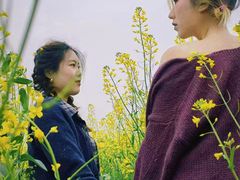 -光明小镇欢乐田园