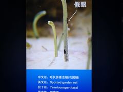 -厦门海底世界