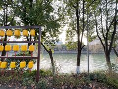 -运河游船(武林门码头)