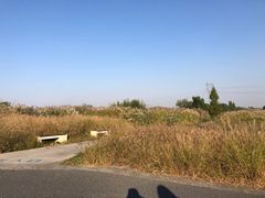 -良渚古城遗址公园