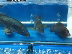 -八道本地特色菜馆(大鹏古城店)