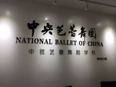 -中央芭蕾舞团·中芭艺蕾(酒仙桥明星校区)