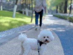 -映月湖中央公园
