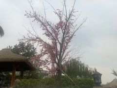 -苏州湾王焰温泉度假酒店