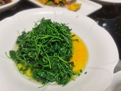 -大金山酒店