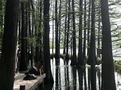 -东湖落雁景区