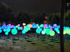 -锦江乐园舞狸花花游园会(夜场专享)
