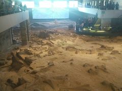 -自贡恐龙博物馆