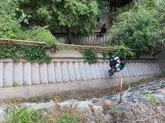 -大觉寺-停车场