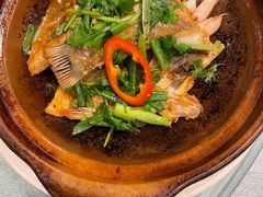 六婶白切清远鸡-六婶西关小厨(光塔路店)