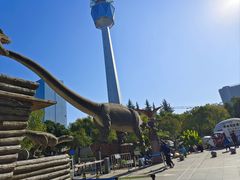 -陕西自然博物馆