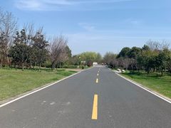 -同里国家湿地公园