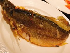 -马哥孛罗咖啡厅·Cafe Marco (厦门马哥孛罗东方大酒店)