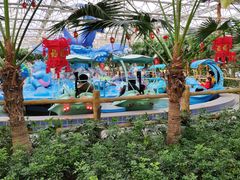 游乐设施-南宫五洲植物乐园