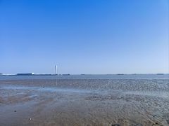 -上海吴淞炮台湾国家湿地公园