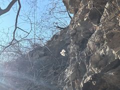 -龙洞风景区-藏龙涧