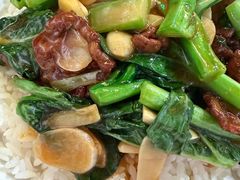 -憶廟街 X 沙角邨(太古城店)