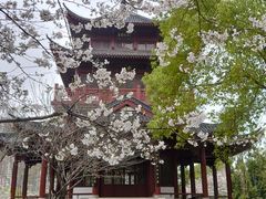 -堤角公园