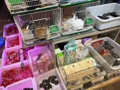 -双季花艺园艺市场(浦东店)