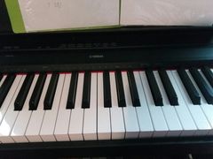 -歌斐木钢琴工作室