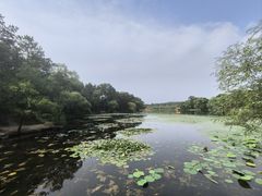 -承德避暑山庄景区