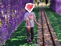 -长洲岛都市农业公园