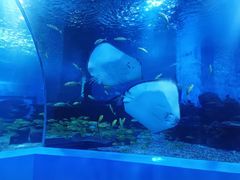 -石林冰雪海洋世界