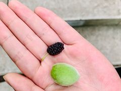 -江苏三台山国家森林公园