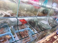 -罗源湾8号渔排