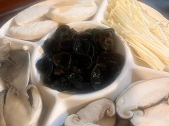 -前门杨记·铜锅涮肉(王府井·故宫店)