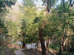 -上海佘山国家森林公园天马山园