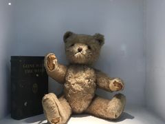 -成都泰迪熊博物馆