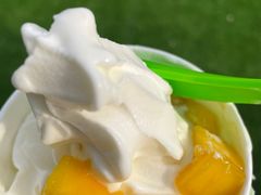 -Salud撒露欧洲冻酸奶(蓝色港湾店)