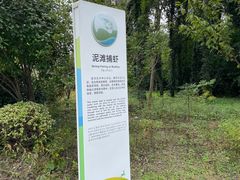 -昆山城市生态森林公园