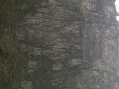 android_upload_pic-云台山风景名胜区