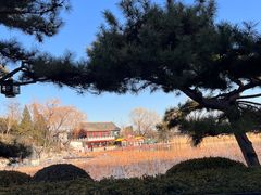 -护国寺小吃(新街口店)