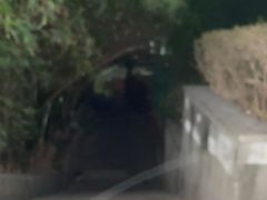 -素清香(解放路店)