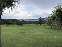 -鹅銮鼻公园