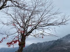 -硗碛藏寨·神木垒景区