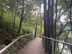 -广州市流溪河国家森林公园